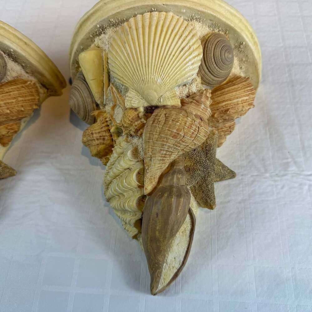 Coastal Seashell resin Wall Mounted shelves Set of 2 Beige/Brown * - Picture 7 of 12